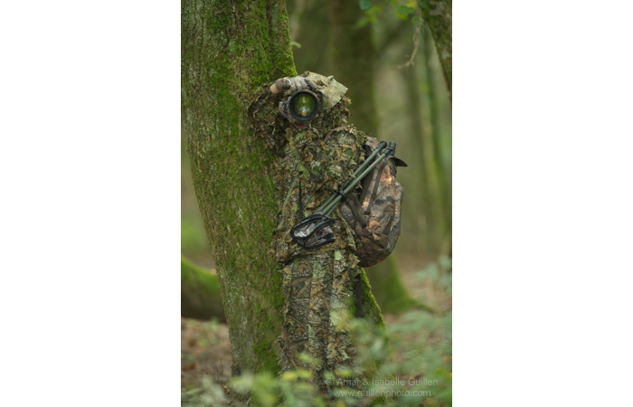 13-141011CHAANIVP0168 13-141011CHAANIVP0168