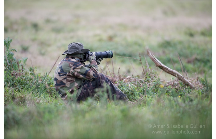 24-141011CHAANIVP0240 24-141011CHAANIVP0240