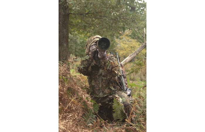 26-141011CHAANIVP0217 26-141011CHAANIVP0217