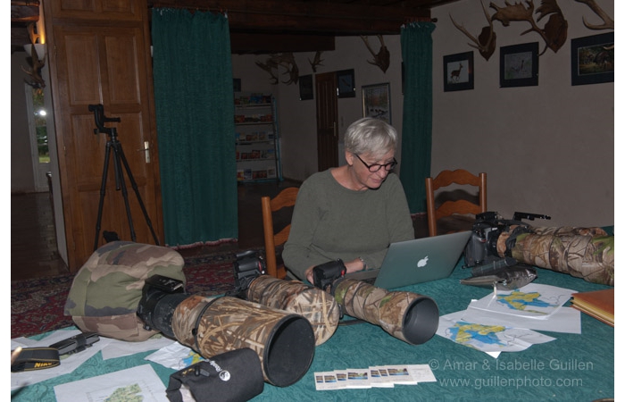 31-141011CHAANIVP0012 31-141011CHAANIVP0012