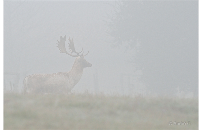 08-1410 Daims 2112 08-1410 Daims 2112