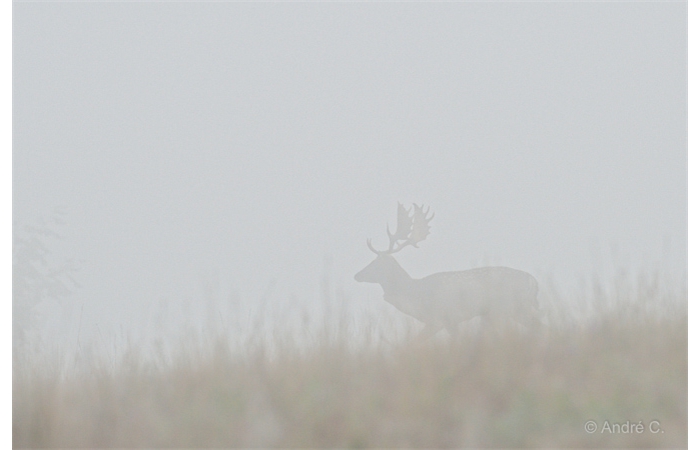 09-1410 Daims 2123 09-1410 Daims 2123