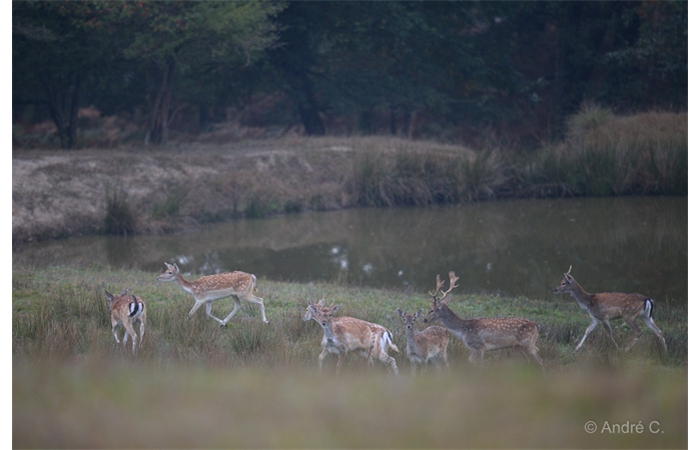 13-1410 Daims 2618 13-1410 Daims 2618