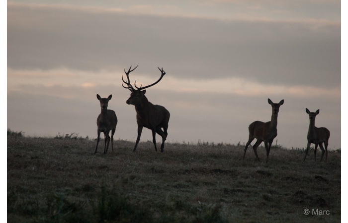 18-_DSC0091 18-_DSC0091