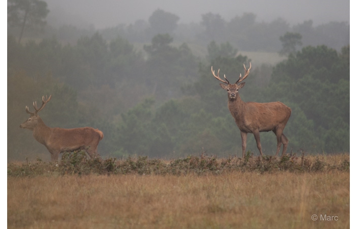 25-MARC0214 25-MARC0214