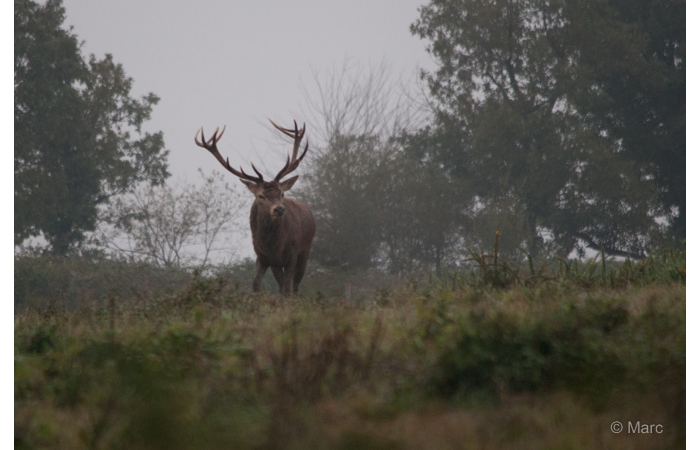 29-_DSC0267 29-_DSC0267