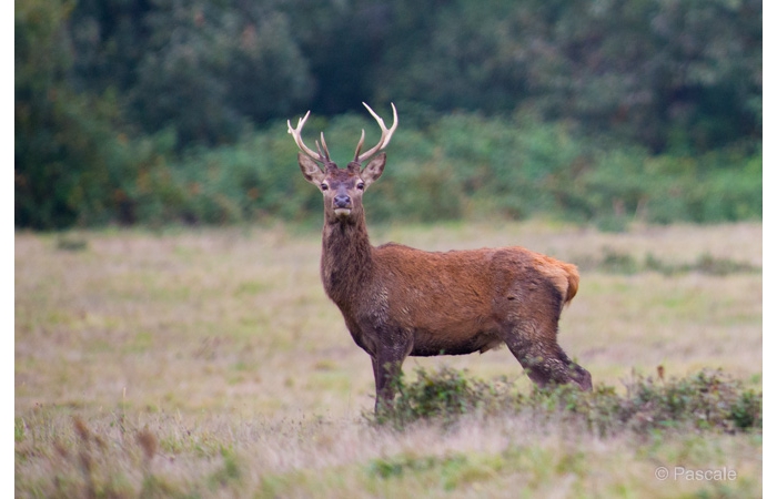 32-PLM_1869 32-PLM_1869