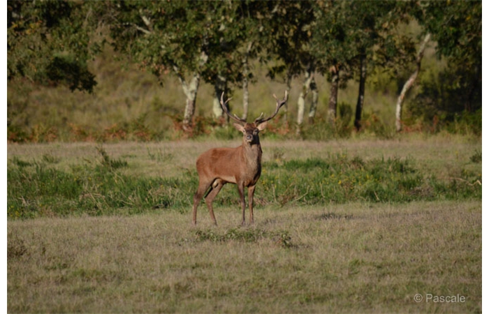 35-DSC_3378 35-DSC_3378