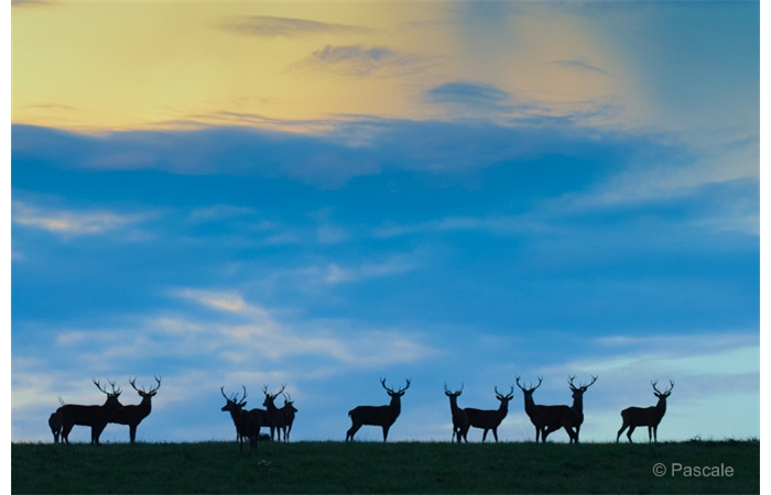 36-DSC_3401 36-DSC_3401