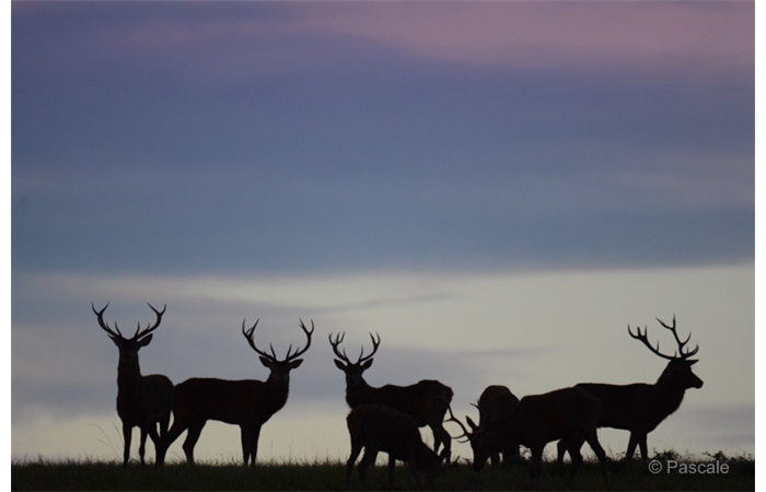 38-DSC_3421 38-DSC_3421