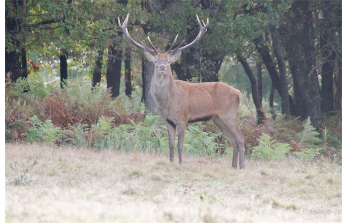 40-DSC_3545 40-DSC_3545