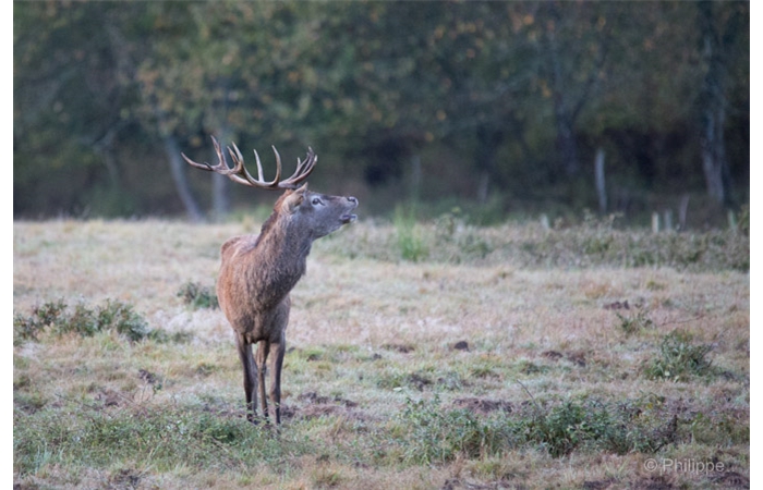 54-_C2A1327 54-_C2A1327