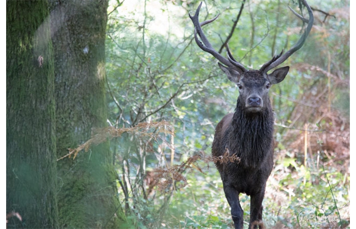 56-_C2A1372 56-_C2A1372