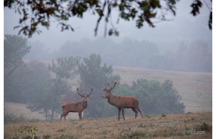 57-_C2A1419 57-_C2A1419