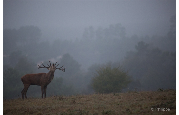 61-_C2A1513 61-_C2A1513