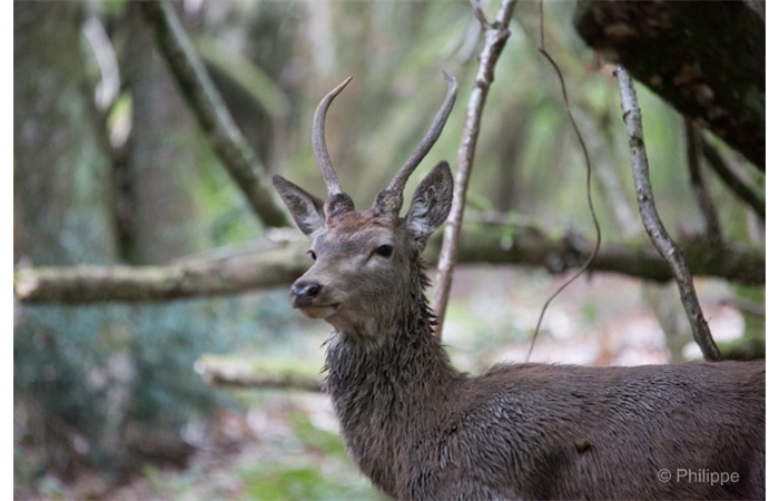 63-_C2A1697 63-_C2A1697