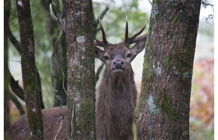 64-_C2A1726 64-_C2A1726