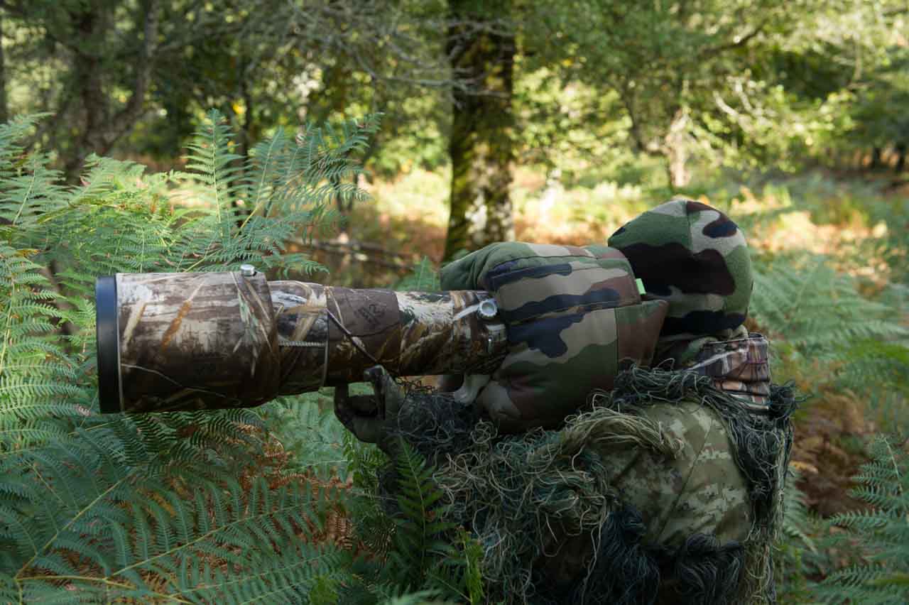 Les stages de photo animalière sont un moyen exceptionnel pour vivre au plus près de la nature.