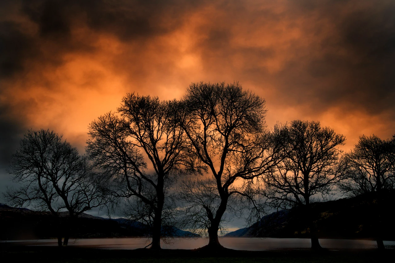 Arbres en contre jour autour du Loch Ness en Ecosse