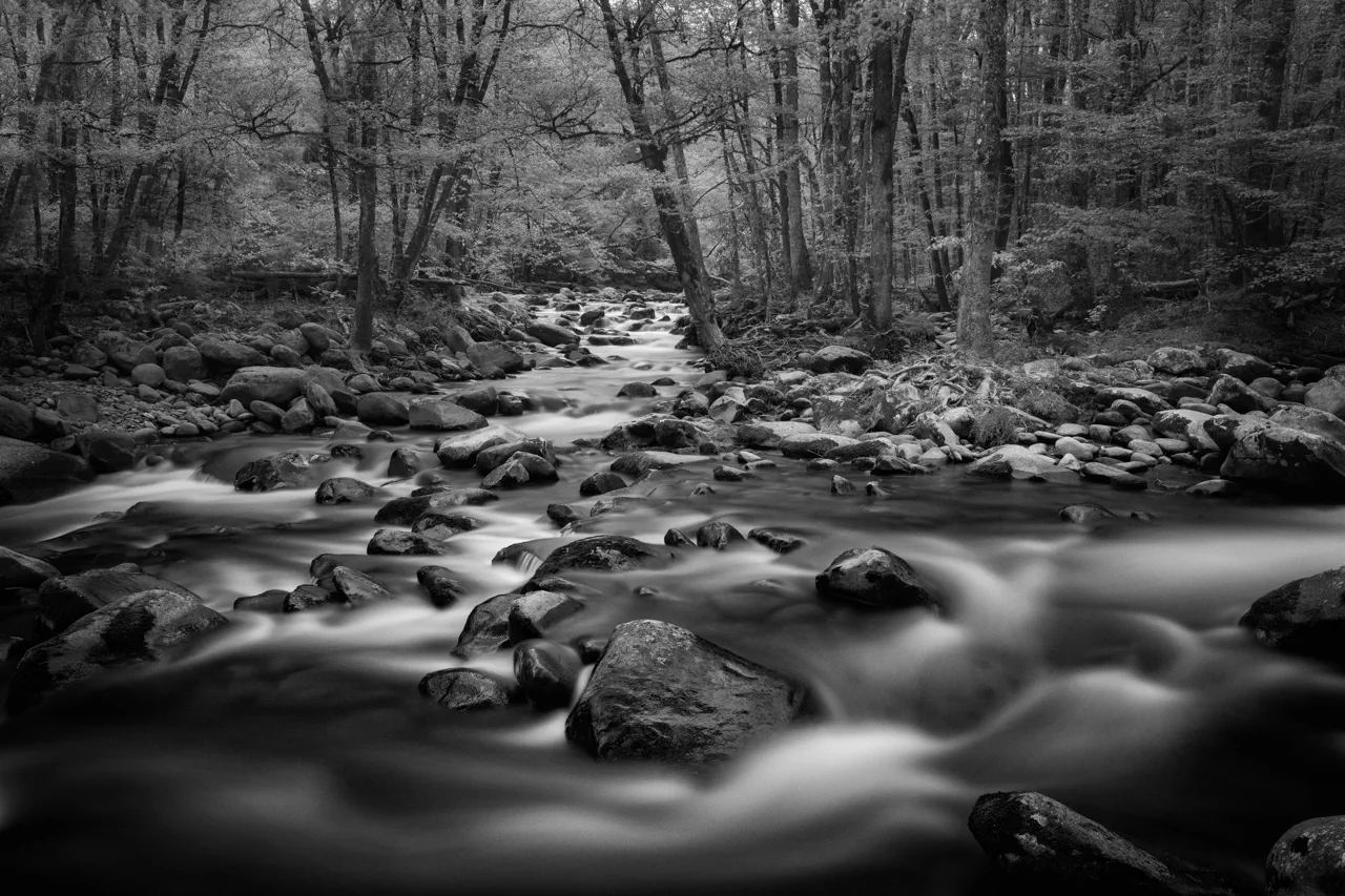 Rivière dans le parc national des Smoky Mountains dans le Tennessee