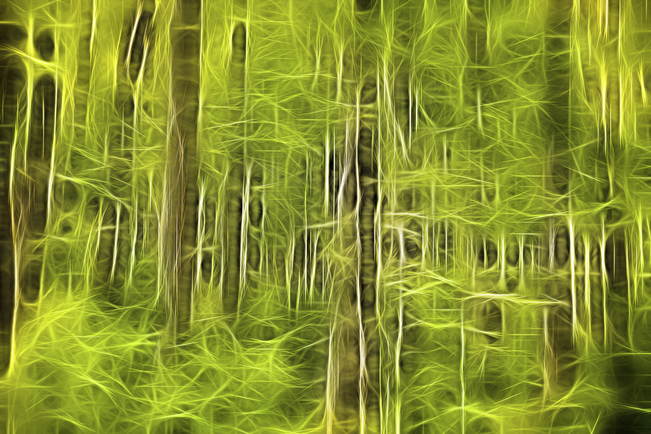 Undergrowth in Fusion Style