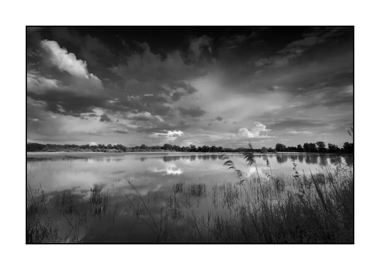 The Breathe of Forgotten Ponds II - Black and White Landscape of the Dombes, France nuances-de-noirs-et-de-blancs/088-le-souffle-des-etangs-oublies-de-la-dombes/en/02-landscape-pond-dombes-2185-32B