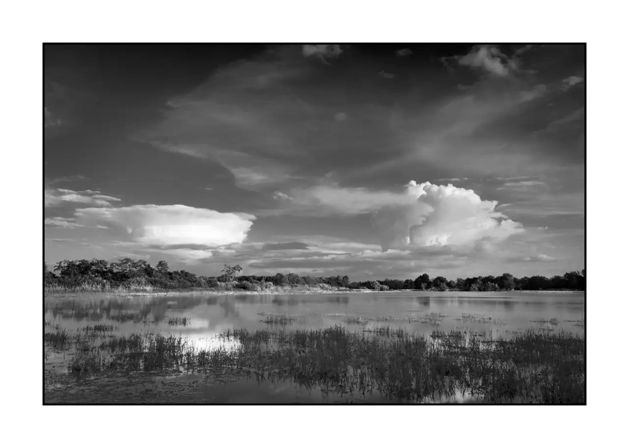 The Breathe of Forgotten Ponds III - Black and White Landscape of the Dombes, France nuances-de-noirs-et-de-blancs/088-le-souffle-des-etangs-oublies-de-la-dombes/en/03-landscape-pond-dombes-2186-32B