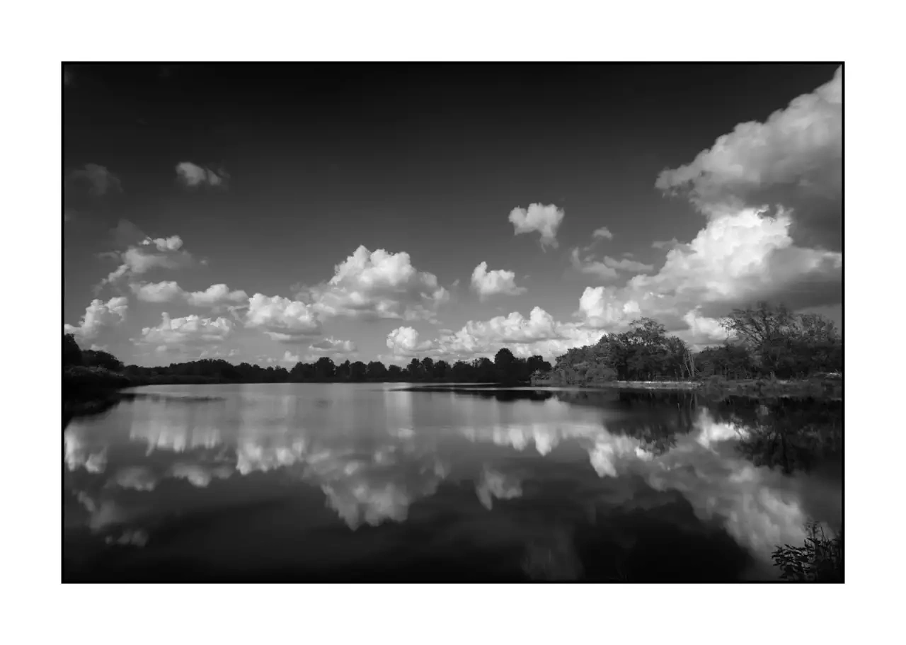 The Breathe of Forgotten Ponds IV - Black and White Landscape of the Dombes, France nuances-de-noirs-et-de-blancs/088-le-souffle-des-etangs-oublies-de-la-dombes/en/04-landscape-pond-dombes-2187-32B