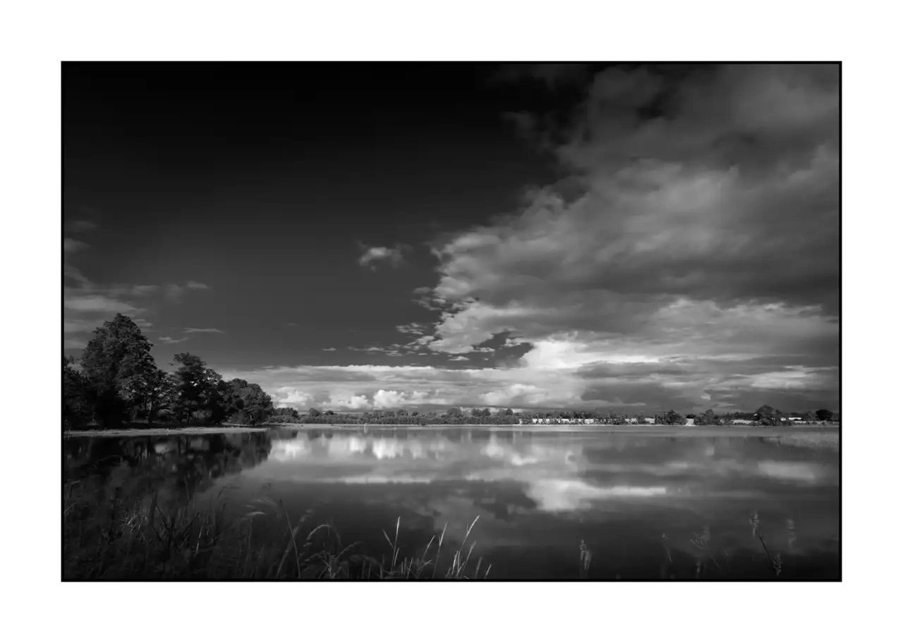 The Breathe of Forgotten Ponds V - Black and White Landscape of the Dombes, France nuances-de-noirs-et-de-blancs/088-le-souffle-des-etangs-oublies-de-la-dombes/en/05-landscape-pond-dombes-2188-32B