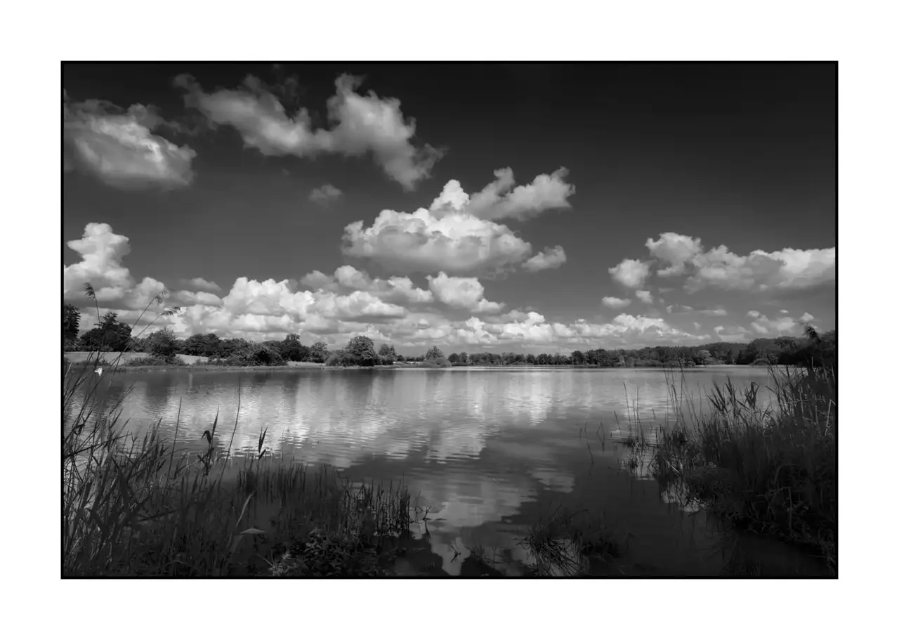 The Breathe of Forgotten Ponds VI - Black and White Landscape of the Dombes, France nuances-de-noirs-et-de-blancs/088-le-souffle-des-etangs-oublies-de-la-dombes/en/06-landscape-pond-dombes-2189-32B