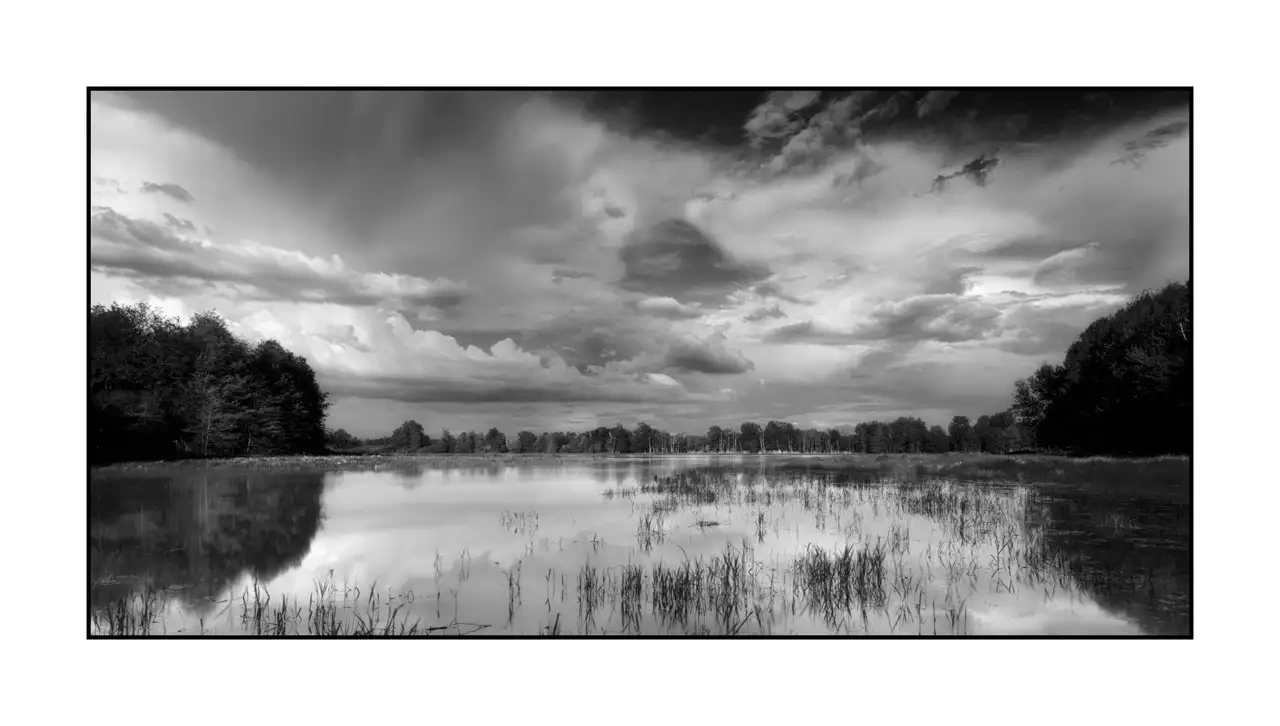 The Breathe of Forgotten Ponds VII - Black and White Landscape of the Dombes, France nuances-de-noirs-et-de-blancs/088-le-souffle-des-etangs-oublies-de-la-dombes/en/07-landscape-pond-dombes-2190-21B