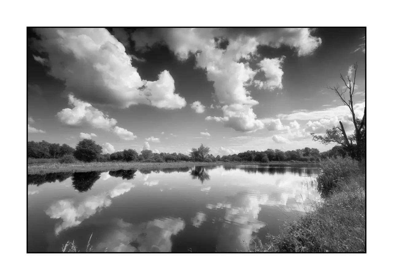 The Breathe of Forgotten Ponds VIII - Black and White Landscape of the Dombes, France nuances-de-noirs-et-de-blancs/088-le-souffle-des-etangs-oublies-de-la-dombes/en/08-landscape-pond-dombes-2191-32B