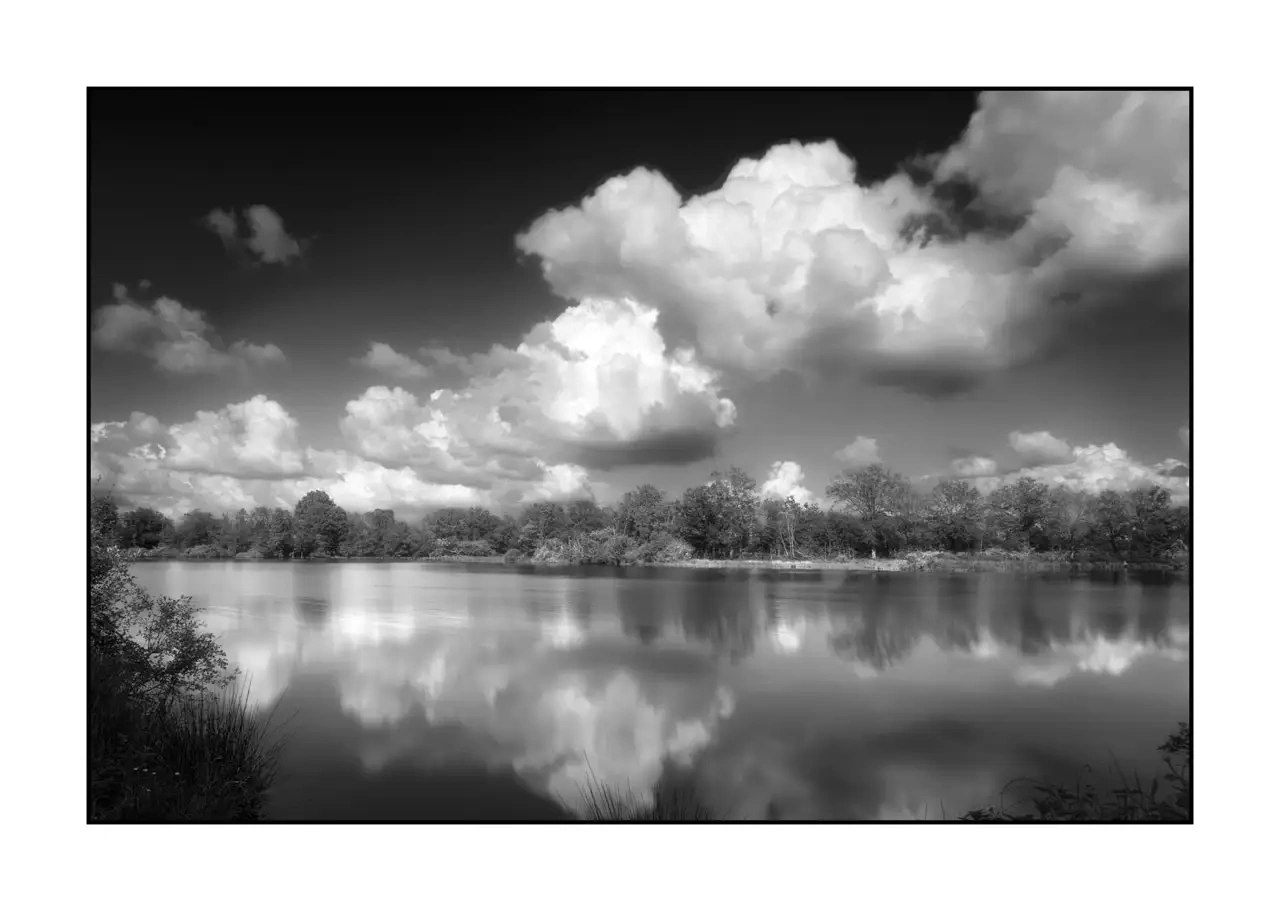 The Breathe of Forgotten Ponds IX - Black and White Landscape of the Dombes, France nuances-de-noirs-et-de-blancs/088-le-souffle-des-etangs-oublies-de-la-dombes/en/09-landscape-pond-dombes-2192-32B