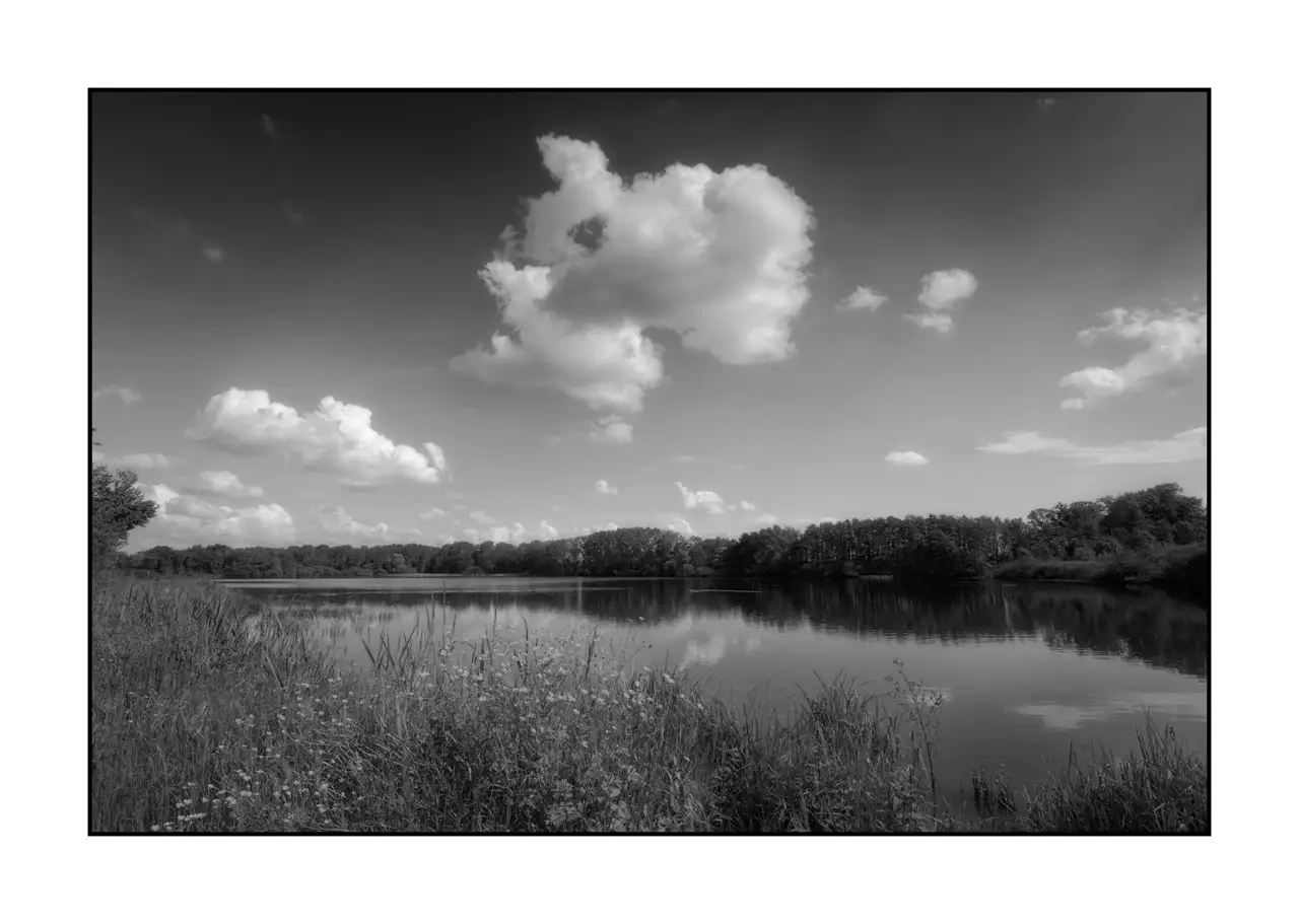 The Breathe of Forgotten Ponds X - Black and White Landscape of the Dombes, France nuances-de-noirs-et-de-blancs/088-le-souffle-des-etangs-oublies-de-la-dombes/en/10-landscape-pond-dombes-2193-32B