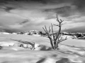 Snowy landscape of yellowstone in winter. Snowy landscape of yellowstone in winter.