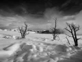 Snowy landscape of yellowstone in winter. Snowy landscape of yellowstone in winter.