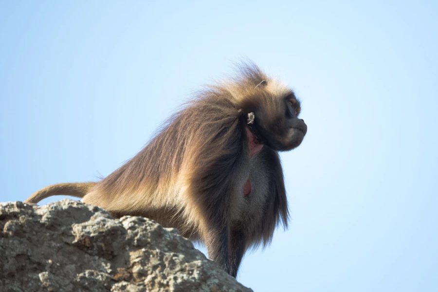 Photos des stagiaires pendant des stages de photo animalière av Photos des stagiaires pendant des stages de photo animalière av