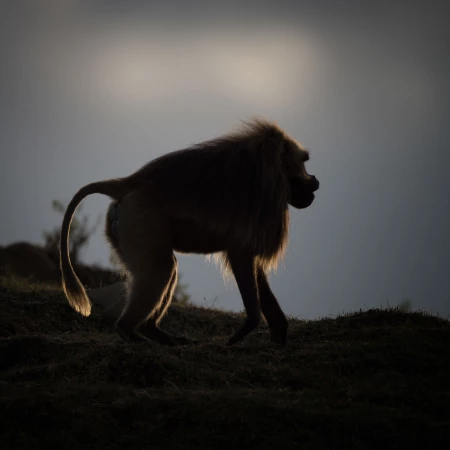 Photos des stagiaires pendant des stages de photo animalière av Photos des stagiaires pendant des stages de photo animalière av