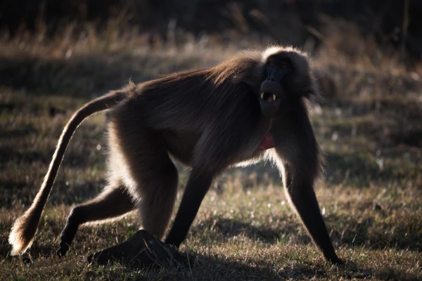 Photos des stagiaires pendant des stages de photo animalière av Photos des stagiaires pendant des stages de photo animalière av
