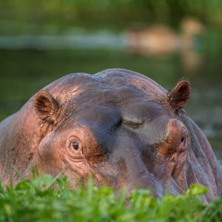 Photos des stagiaires pendant des stages de photo animalière av Photos des stagiaires pendant des stages de photo animalière av