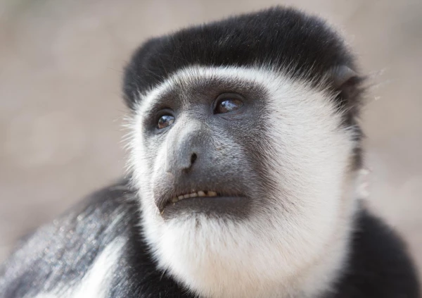 Photos des stagiaires pendant des stages de photo animalière av Photos des stagiaires pendant des stages de photo animalière av