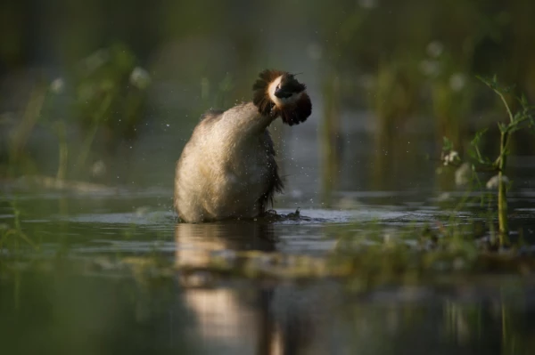 Photos des stagiaires pendant des stages de photo animalière av Photos des stagiaires pendant des stages de photo animalière av