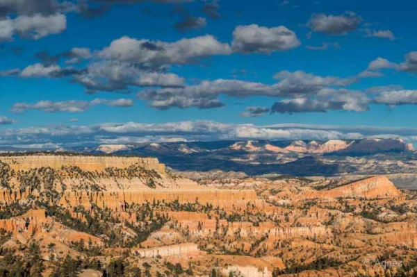 Photos des stagiaires pendant des stages de photo paysages avec  Photos des stagiaires pendant des stages de photo paysages avec