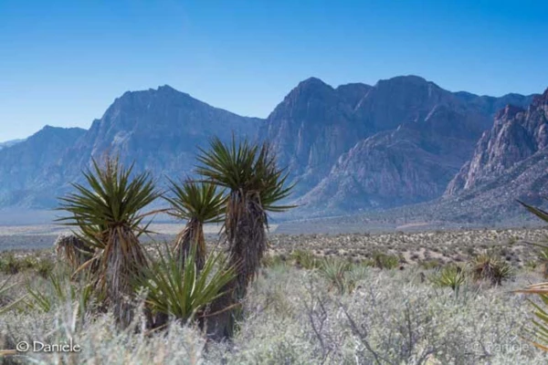 Photos des stagiaires pendant des stages de photo paysages avec  Photos des stagiaires pendant des stages de photo paysages avec