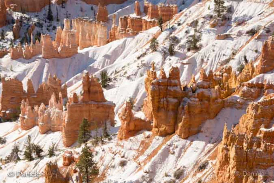 Photos des stagiaires pendant des stages de photo paysages avec  Photos des stagiaires pendant des stages de photo paysages avec