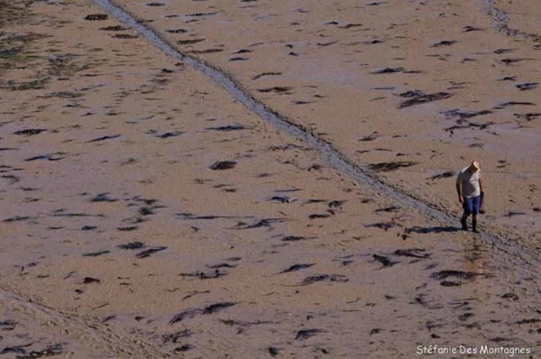 Photos des stagiaires pendant des stages de photo paysages avec  Photos des stagiaires pendant des stages de photo paysages avec