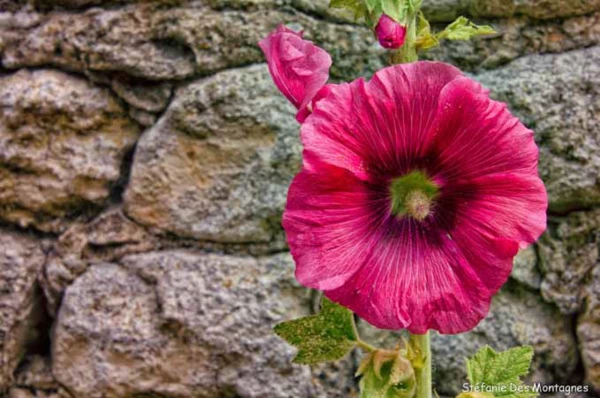 Photos des stagiaires pendant des stages de photo paysages avec  Photos des stagiaires pendant des stages de photo paysages avec