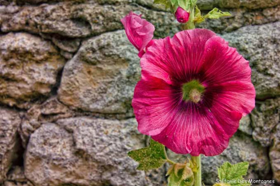Photos des stagiaires pendant des stages de photo paysages avec  Photos des stagiaires pendant des stages de photo paysages avec