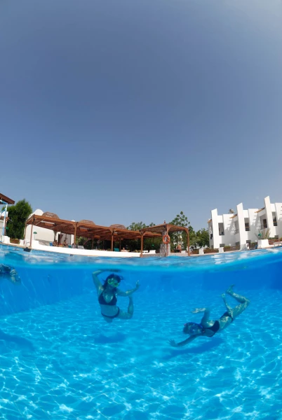 Ambiance des stages photo sous-marine avec Amar Guillen, Photogr Ambiance des stages photo sous-marine avec Amar Guillen, Photogr