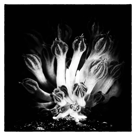 Photos des stagiaires pendant des stages de photo sous-marine av Photos des stagiaires pendant des stages de photo sous-marine av